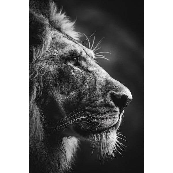 Tableau Lion Noir et Blanc, art mural décoration nature