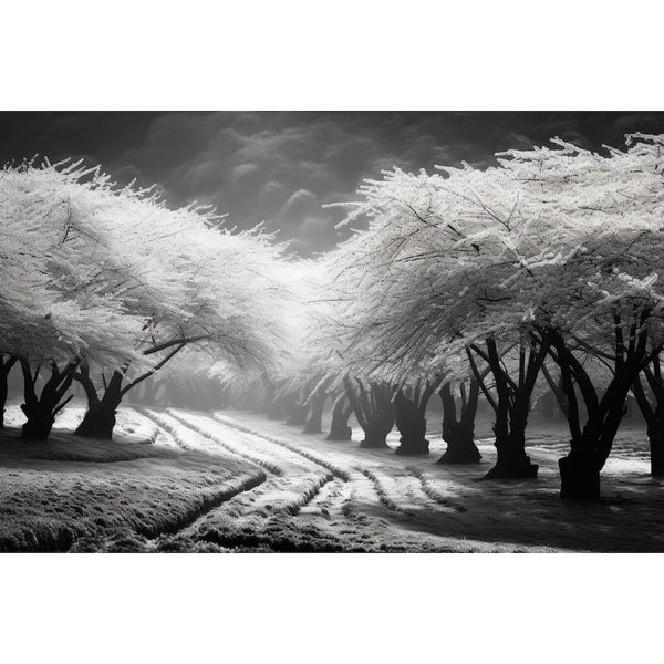 tableaux cerisiers japonais noir et blanc
