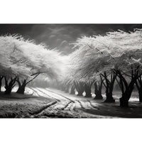Thumbnail for tableaux cerisiers japonais noir et blanc