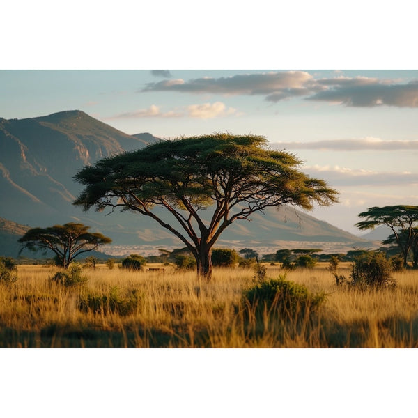Tableau de Paysage Africain de Savane à l'Acacia, art mural décoration nature