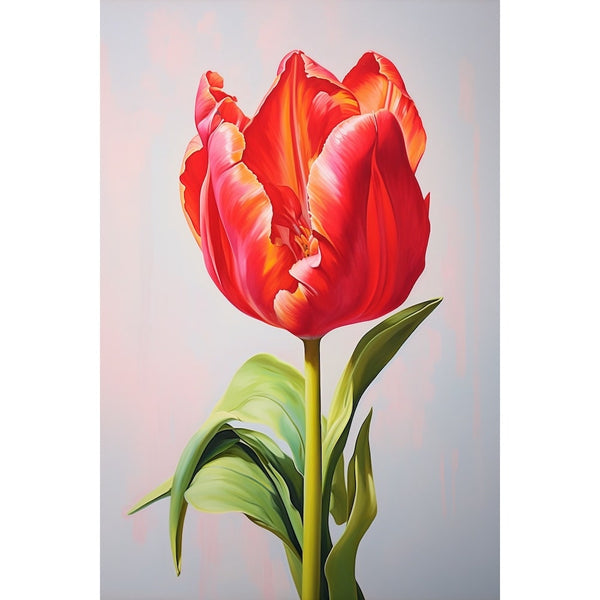Peinture d'une tulipe rouge en gros plan, pétales nuancés de rose et d'orangé sur fond gris perle